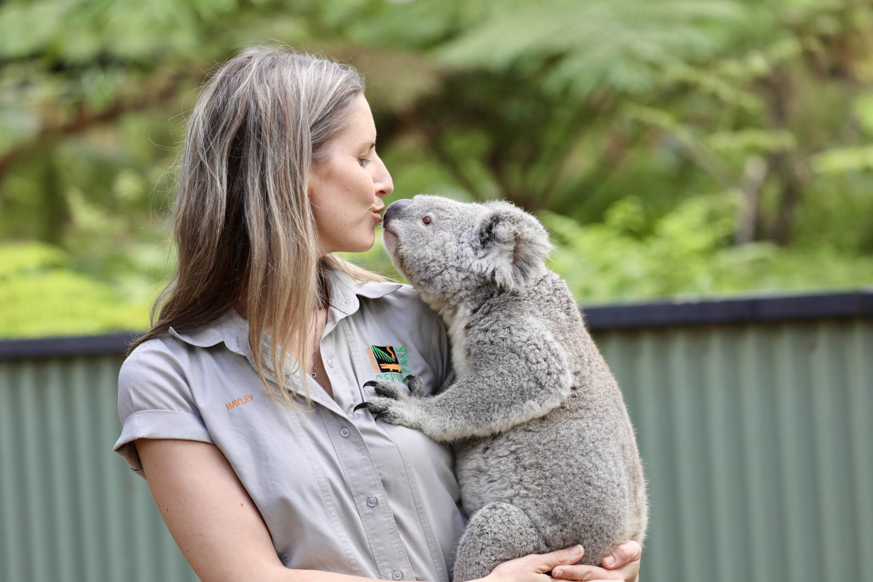 Photos of Koalas 'Hugging It Out' at Australia Reptile Park Are